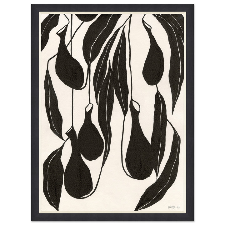 Pitchers by Soicher Marin