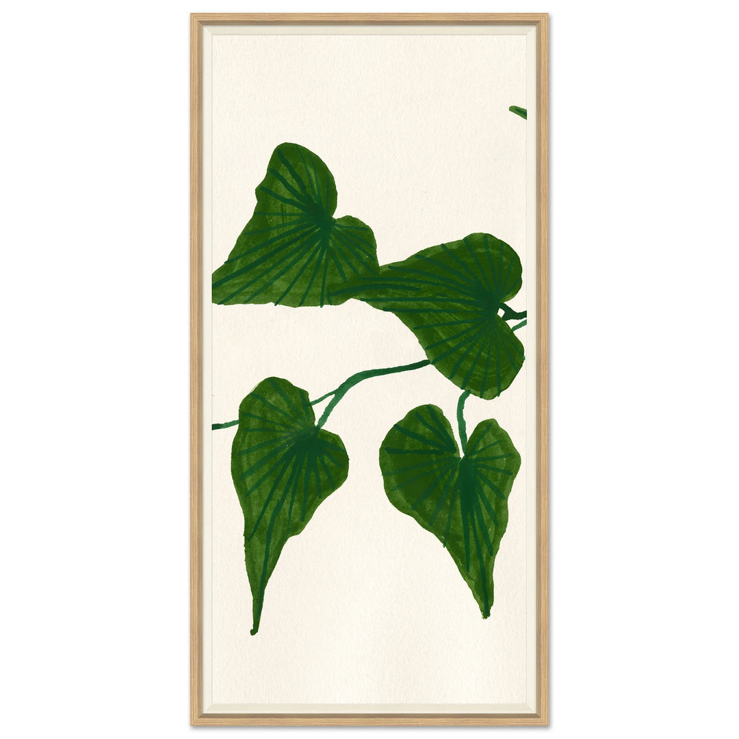 Ivy II by Soicher Marin