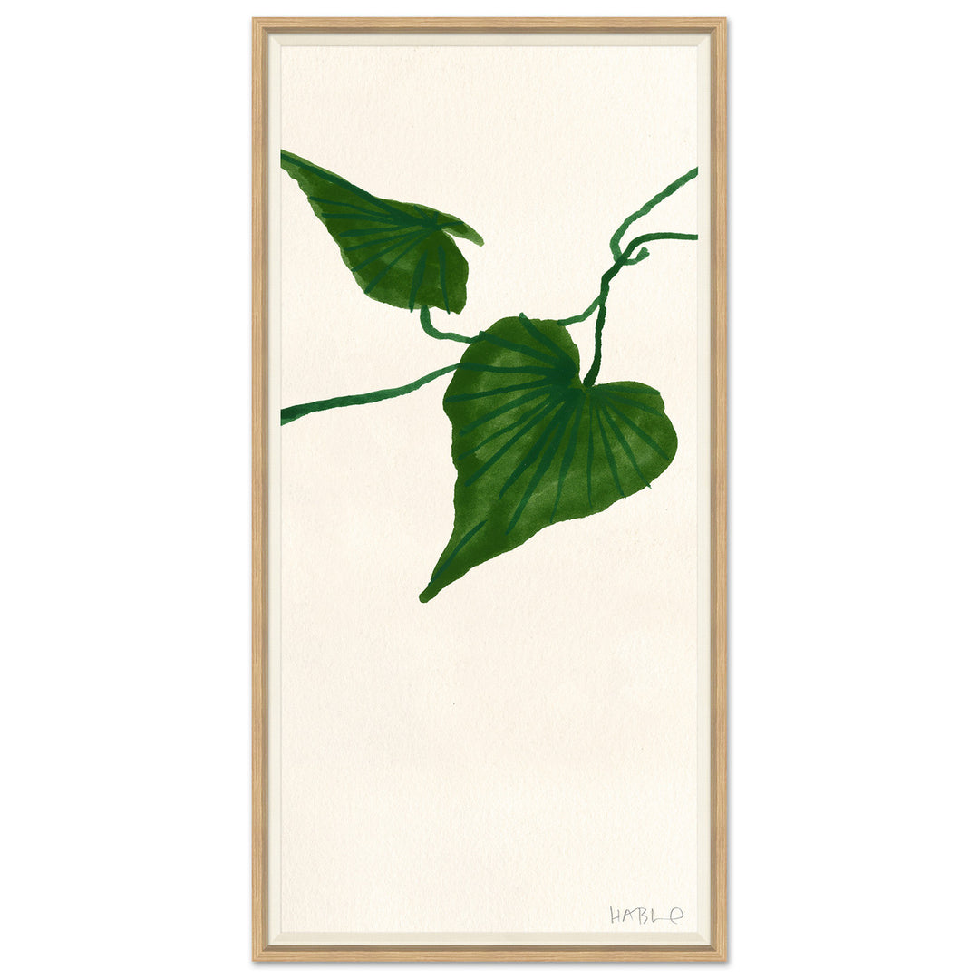 Ivy III by Soicher Marin