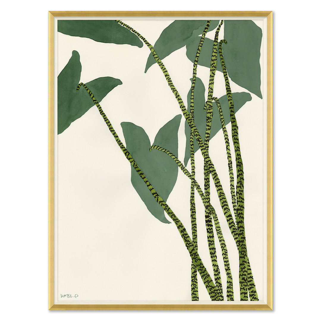 Caladium by Soicher Marin