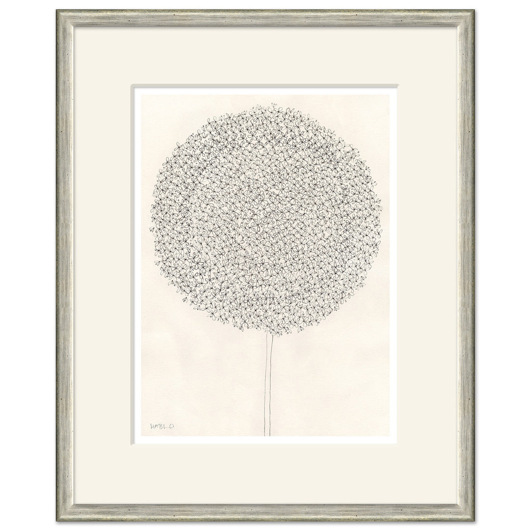 Dandelion by Soicher Marin