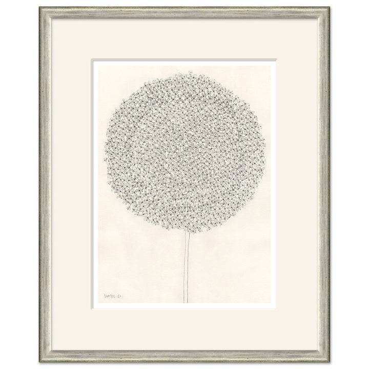 Dandelion by Soicher Marin