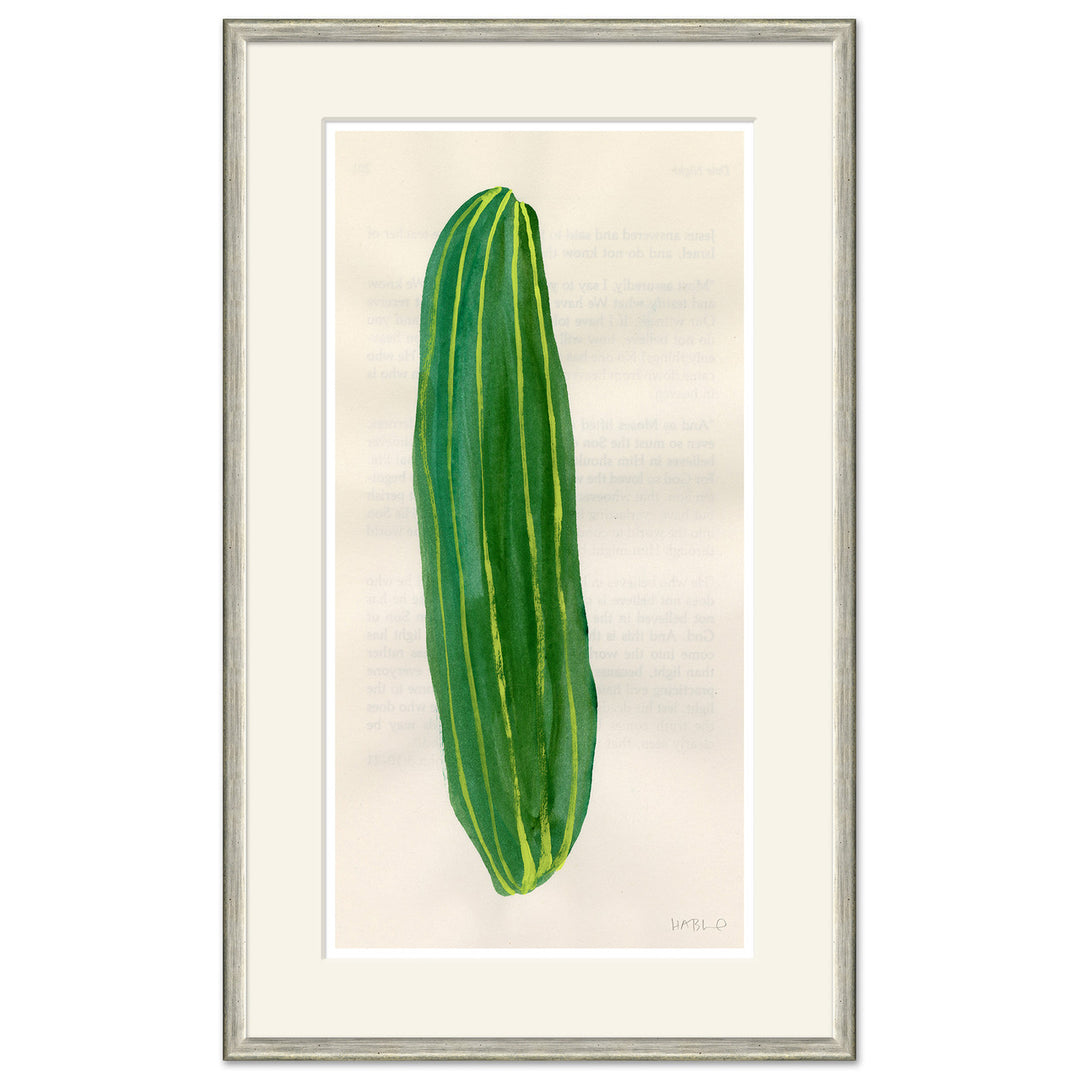 Pickle by Soicher Marin