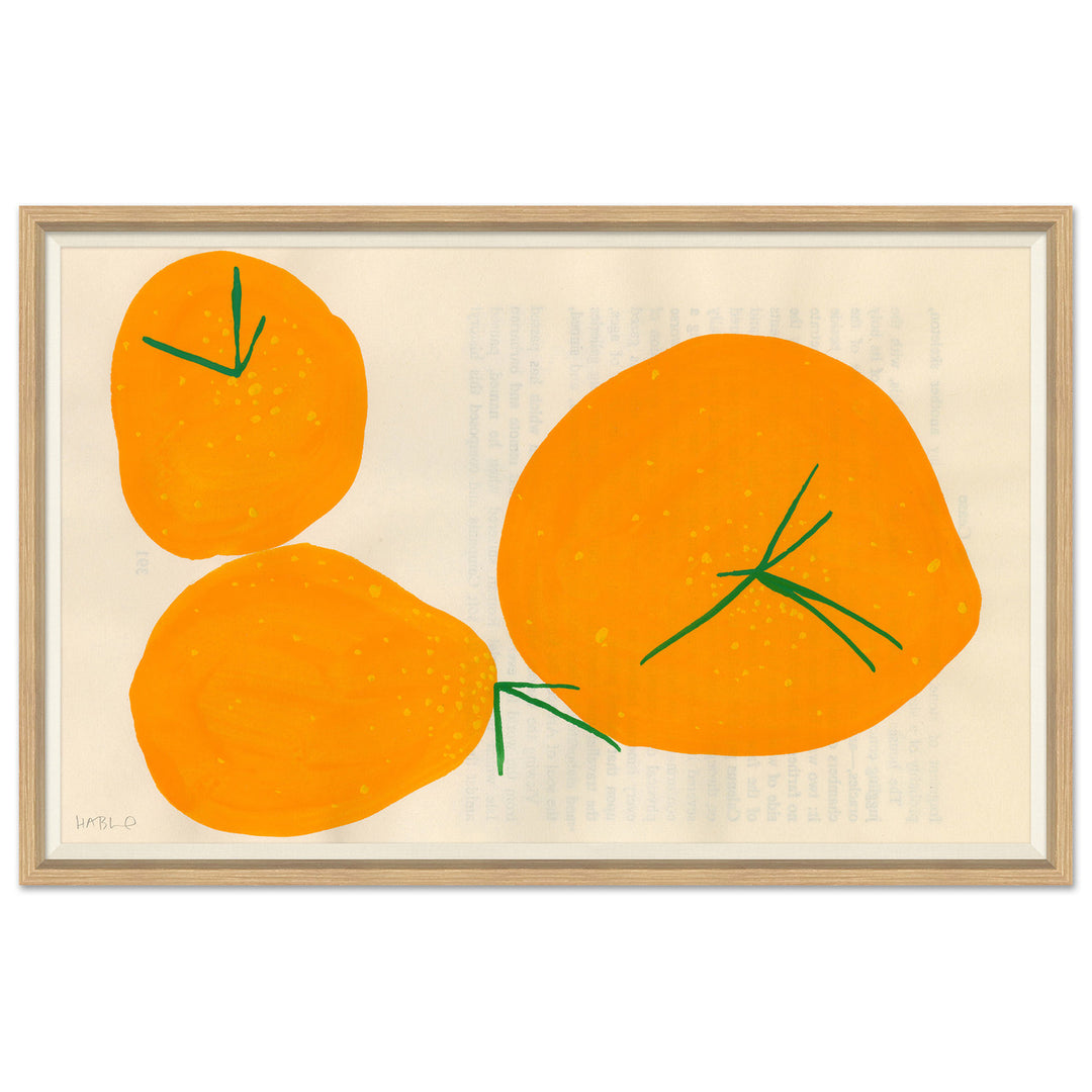 Persimmon by Soicher Marin