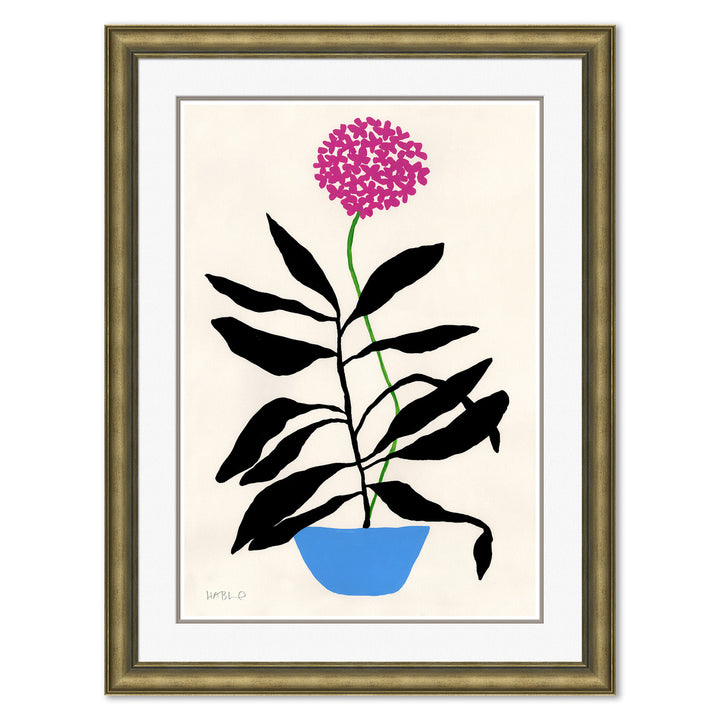 Lily of the Nile by Soicher Marin