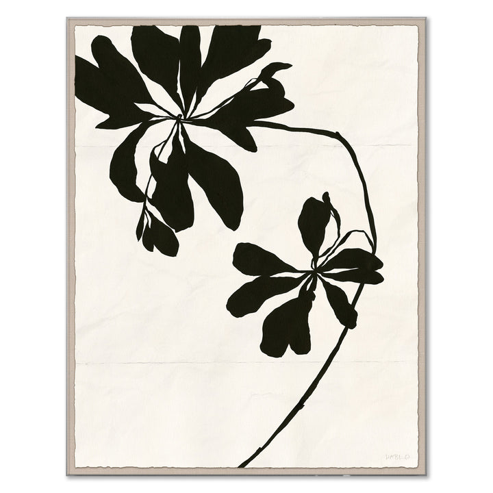 HC-24-0258B Mediterranean Leaf (var. 2) by Soicher Marin
