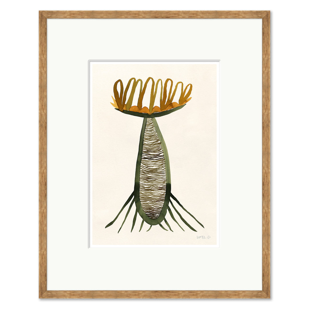 Balmorhea by Soicher Marin
