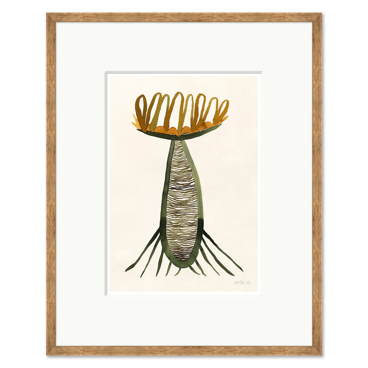 Balmorhea by Soicher Marin