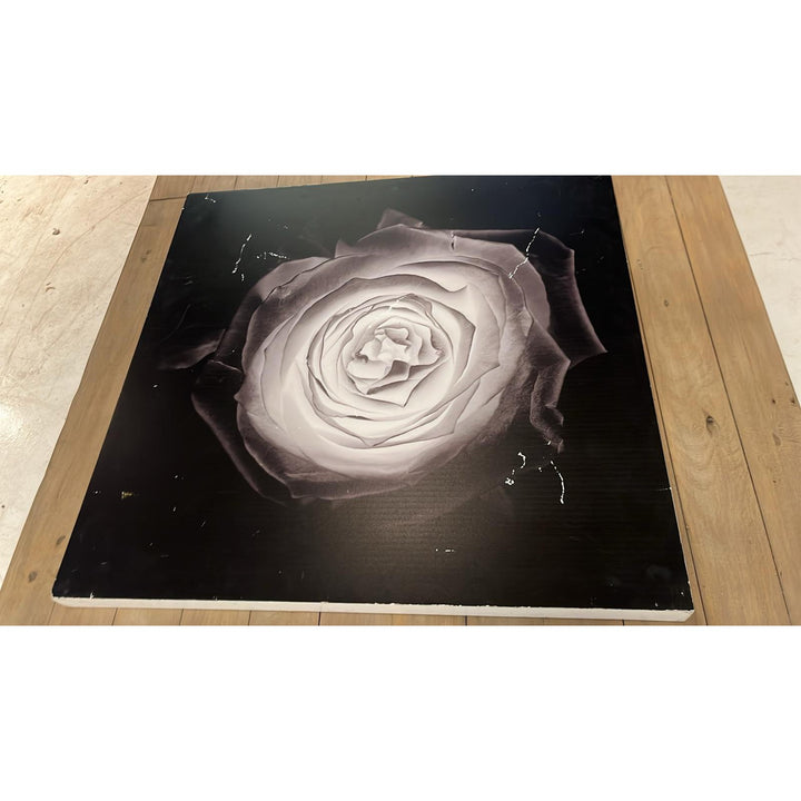 Rose Wall Art - Open Box