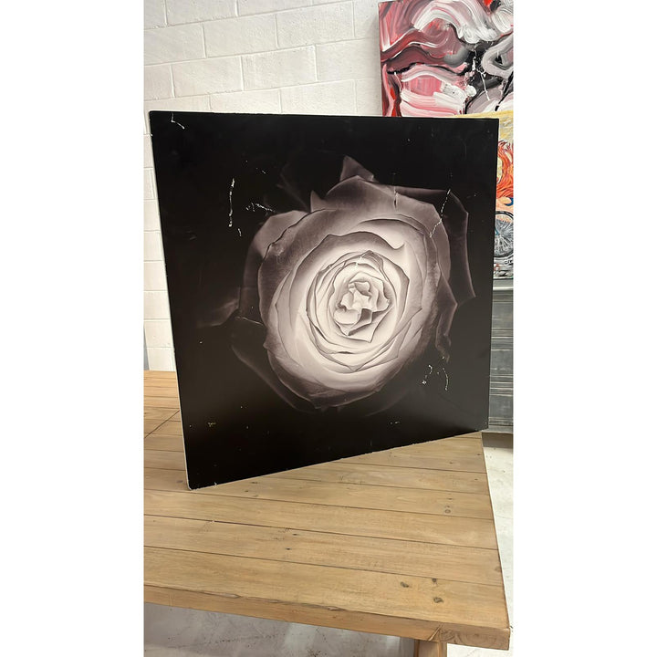 Rose Wall Art - Open Box