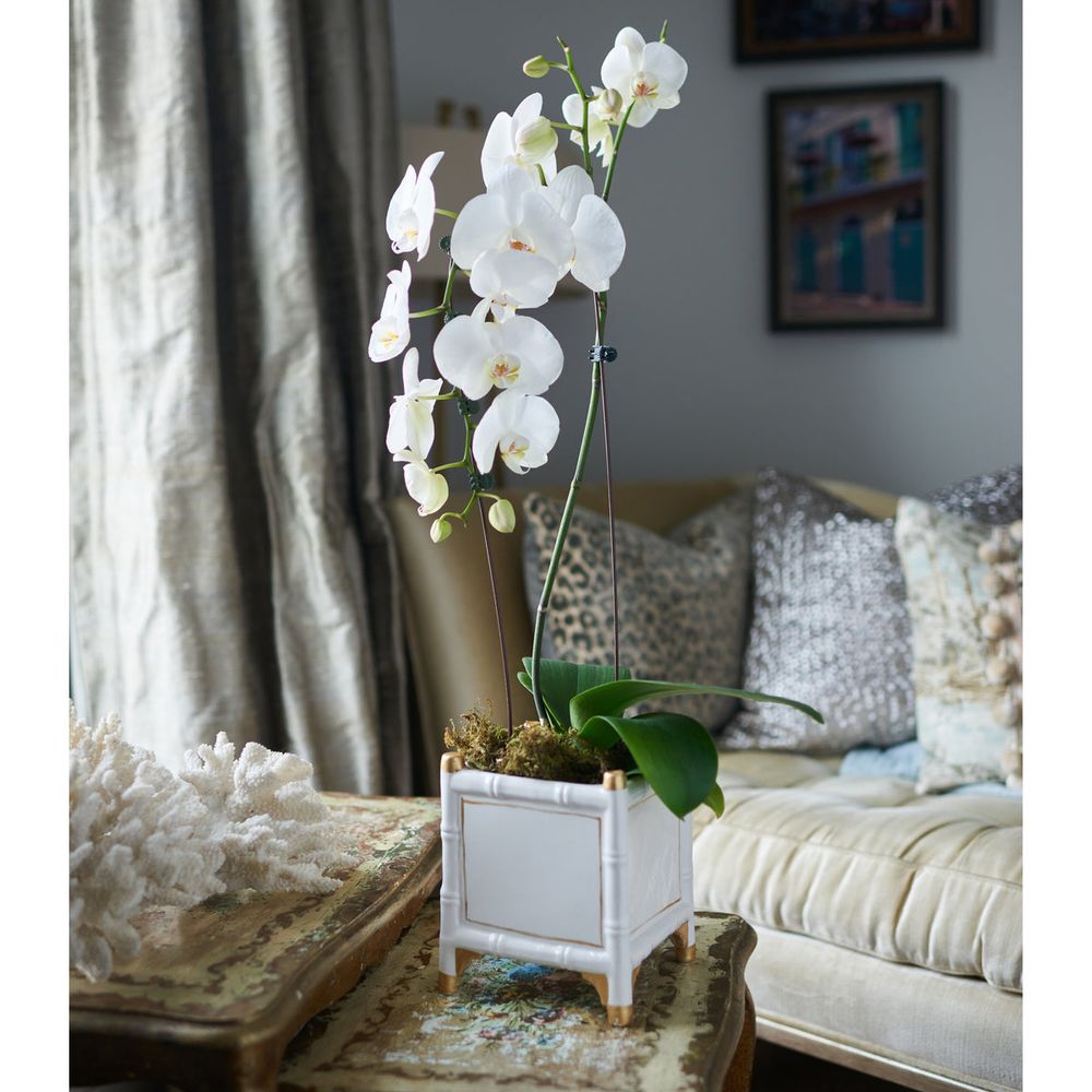 Indoor Planters Bamboo Cachepot, White/Gold, Small Set of 2