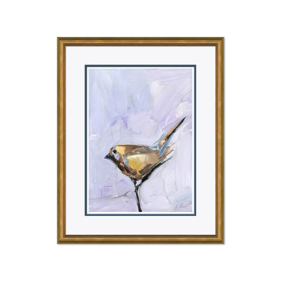 Brown Sparrow by Soicher Marin