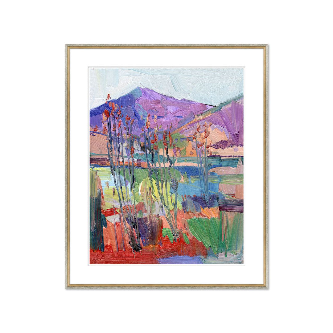 Ocotilla Hill by Soicher Marin