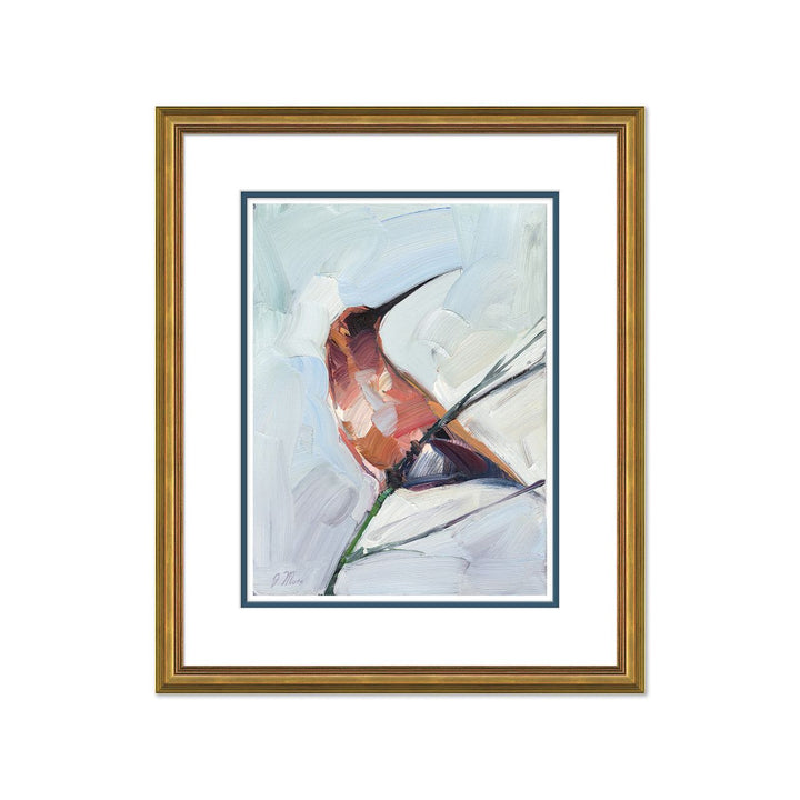 Rufous Hummingbird by Soicher Marin