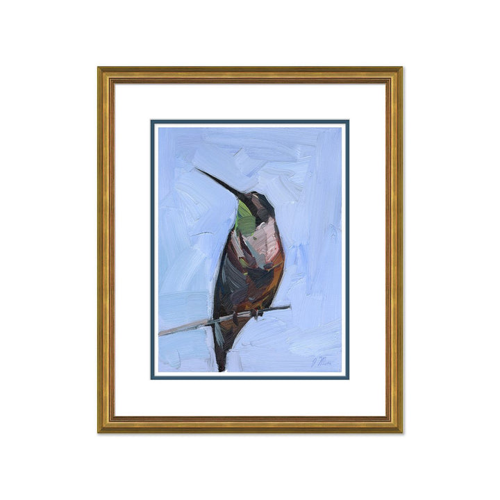 Green Throated Hummingbird by Soicher Marin