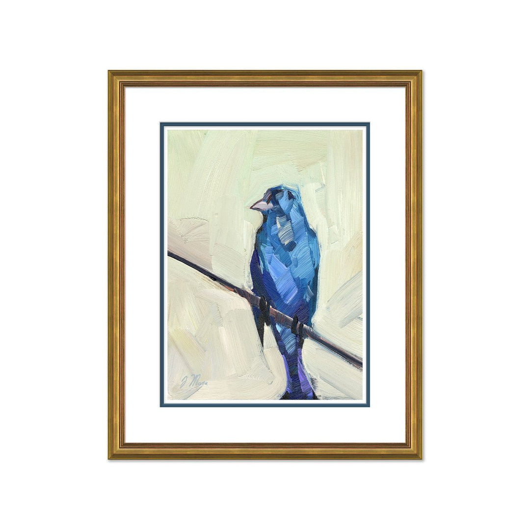 Blue Robin by Soicher Marin