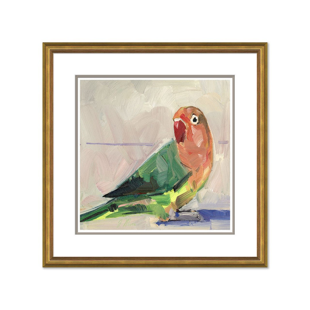 Rainbow Parakeet by Soicher Marin