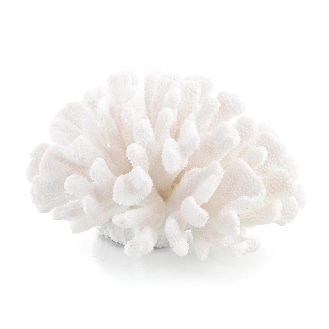 Sculptures Maldives Coral