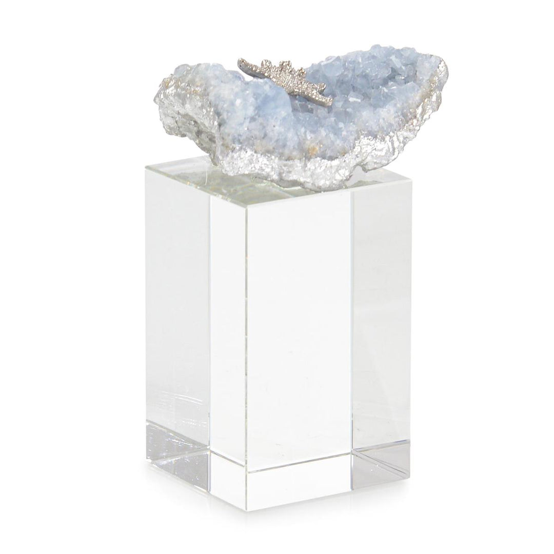 Sea Floor Sculpture On Crystal Base I