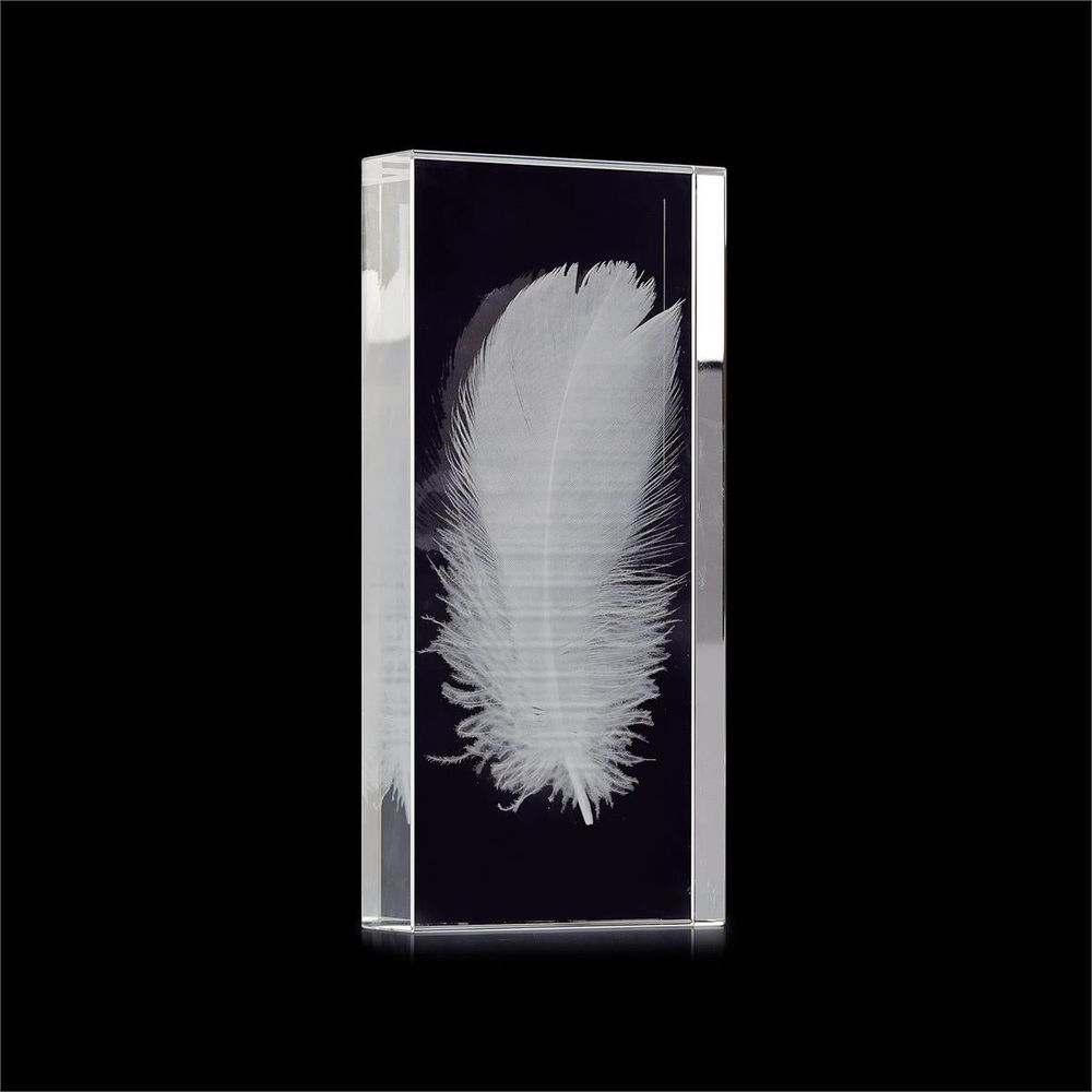 Wall Decor Enclosed Crystal Feather