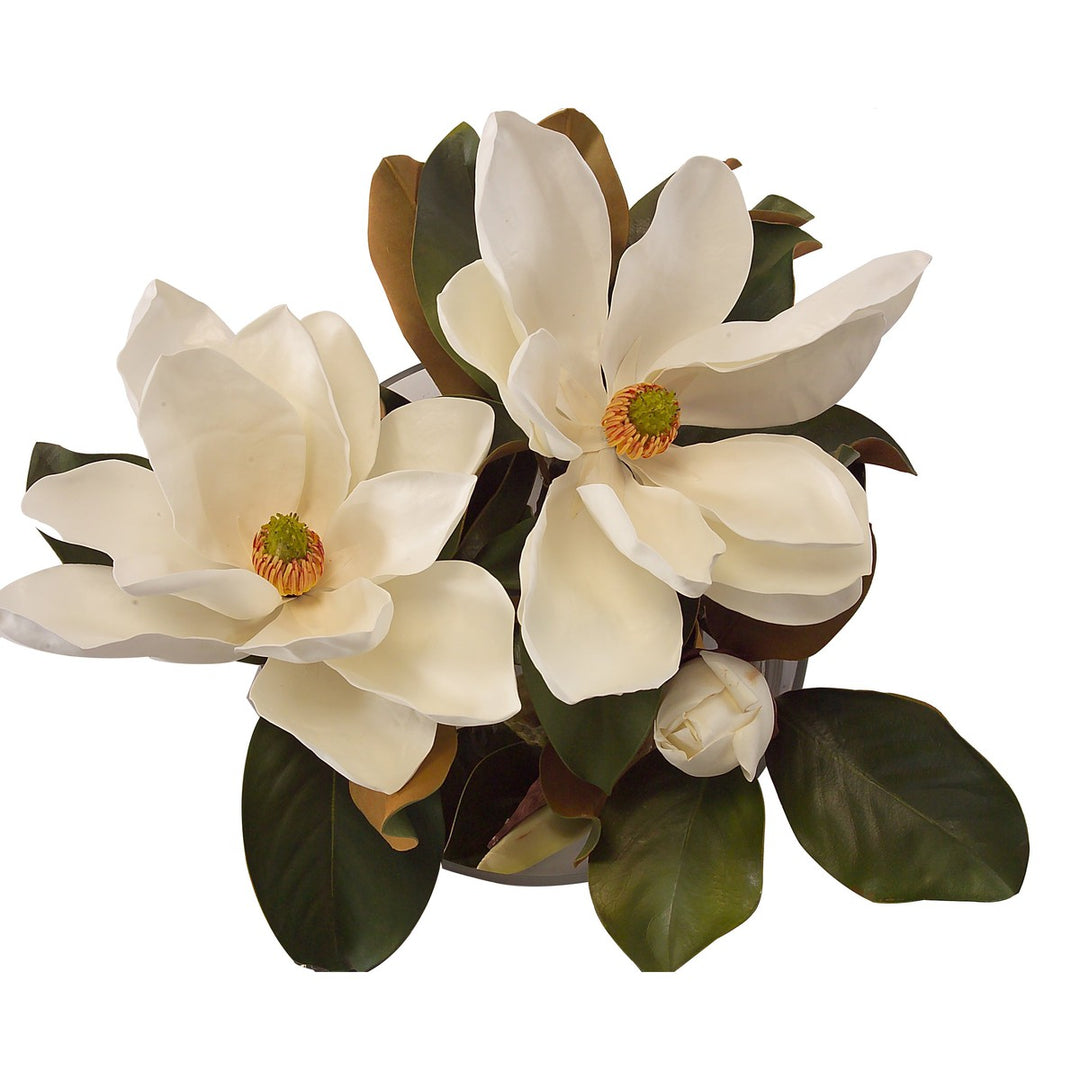 Solis Grandiflora - White - Silk