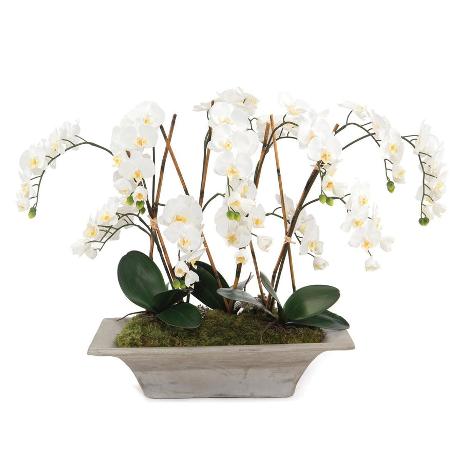 Armature Orchids-John Richard-JR-JRB-3437-Decor-1-France and Son