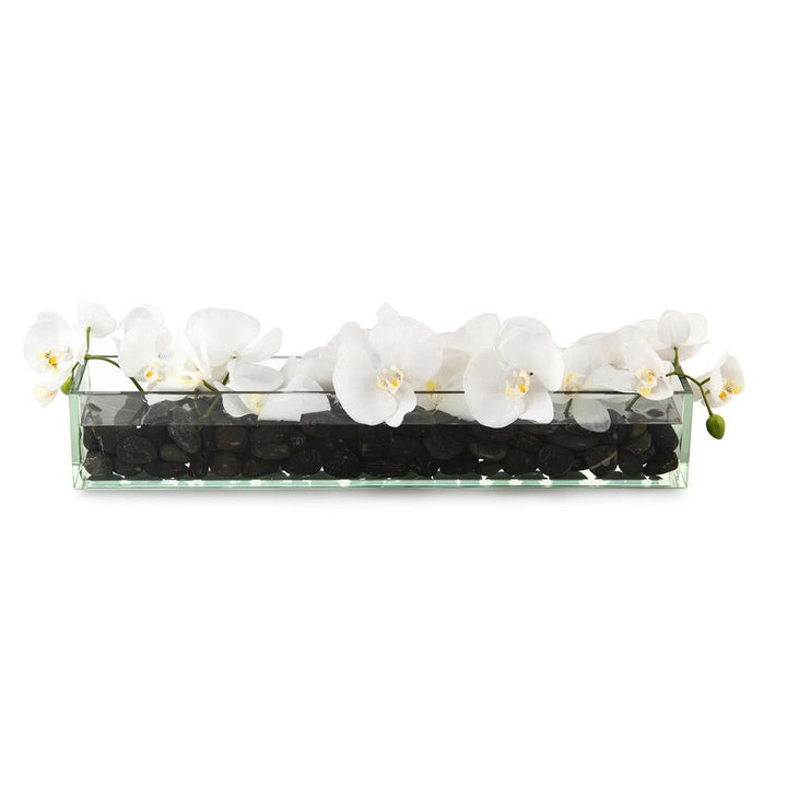 Dice - Clear,White, shown in white and black with glass, stone, and low-profile rectangular glass planter.