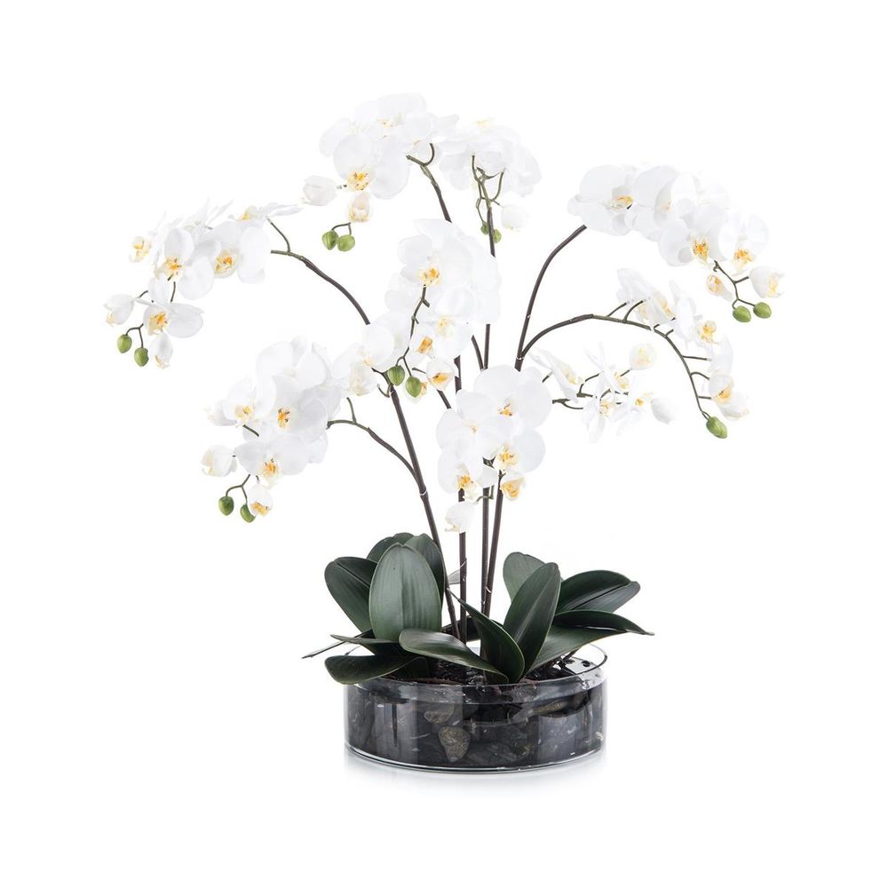 Twilight Phals, shown in white and dark green with faux orchid blooms, faux foliage, and low clear glass cylinder vessel.