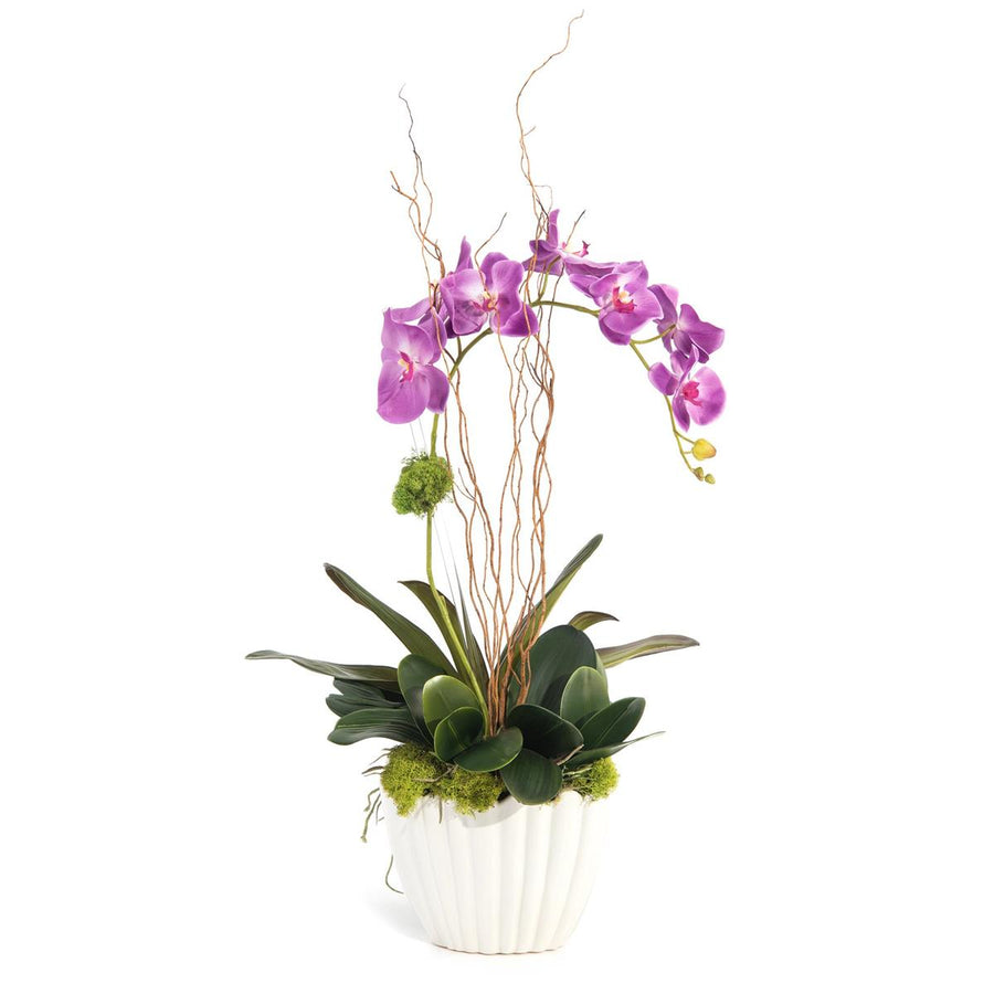 Vibrant Asian Orchid-John Richard-JR-JRB-4137-Decor-1-France and Son