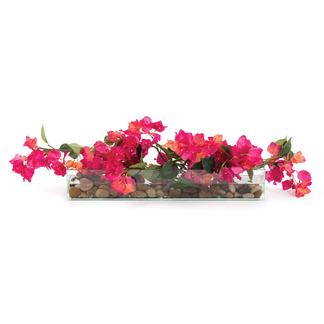 Graceful Bougainvillea - Multi