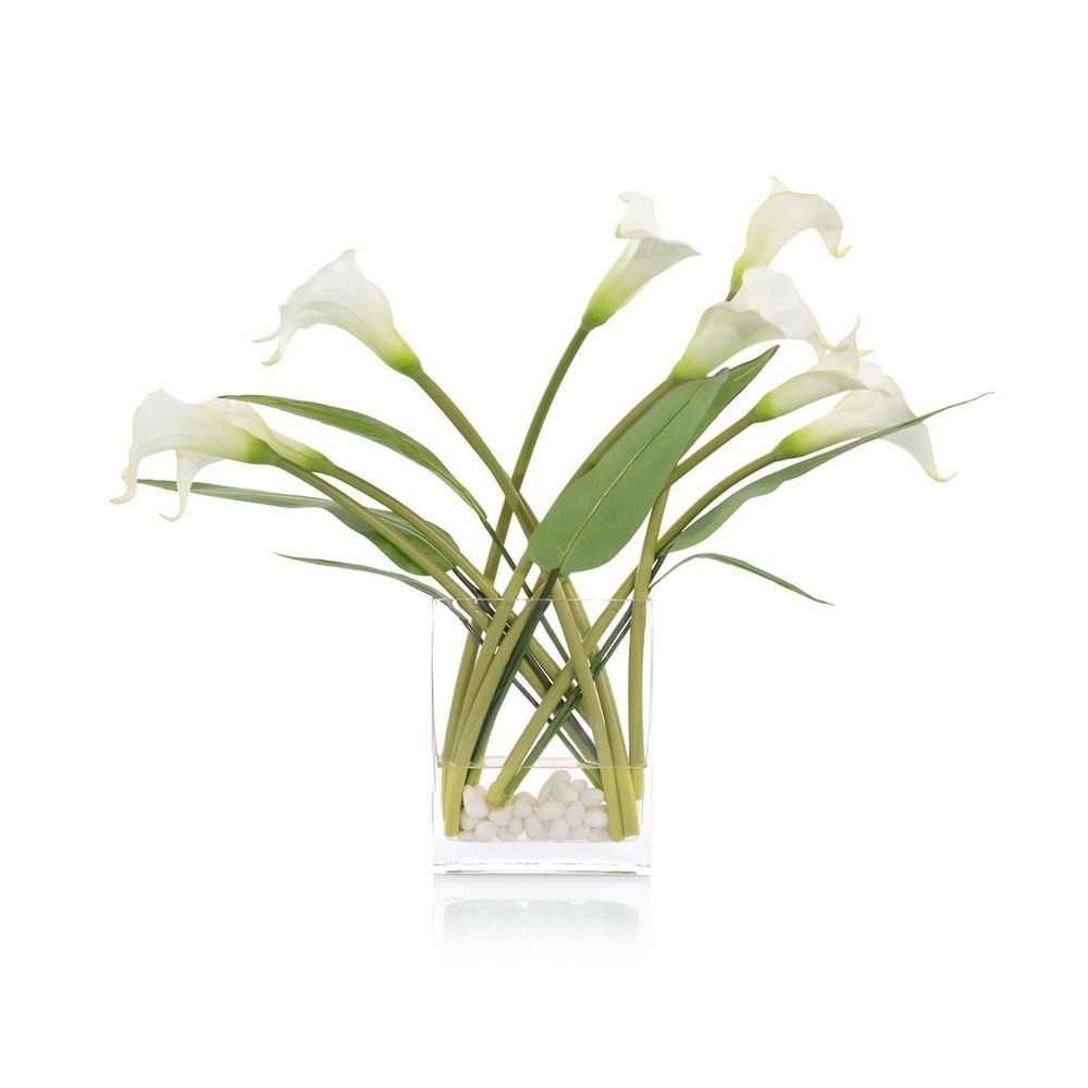 Windblown Callas