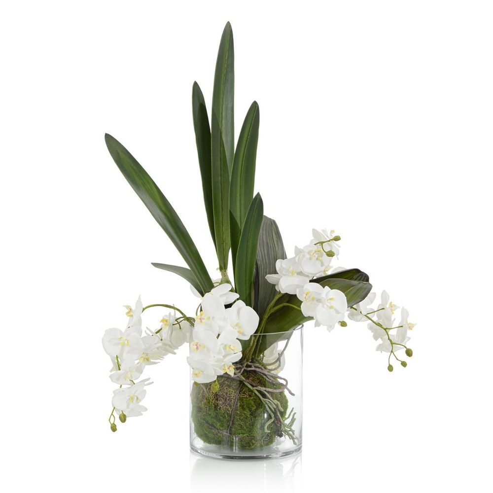 Mossy Orchids