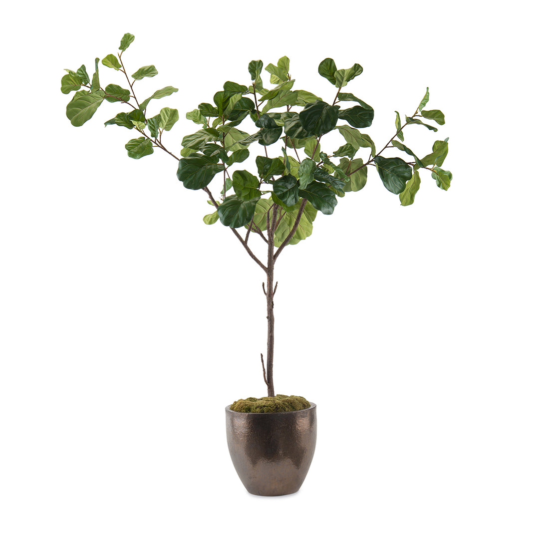 Sophisticated Leaf Fig - Permanent Floral