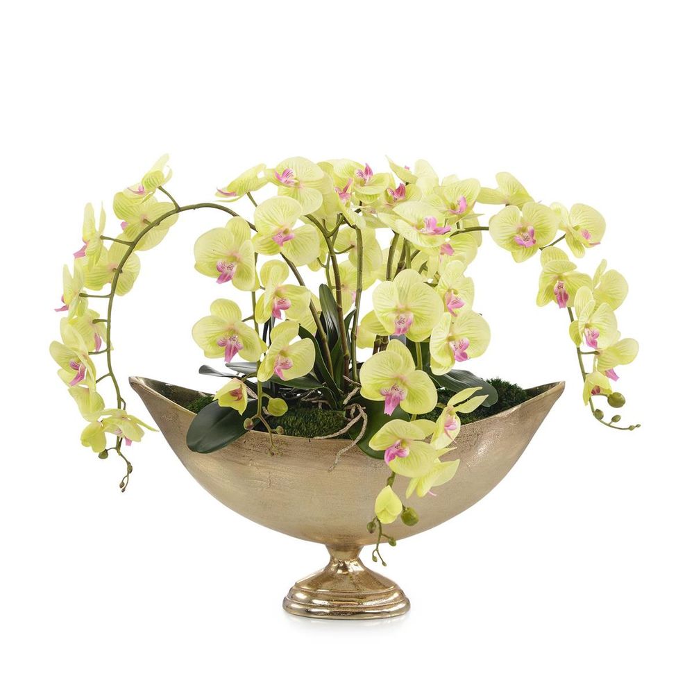 Faux Florals limelight Orchids -