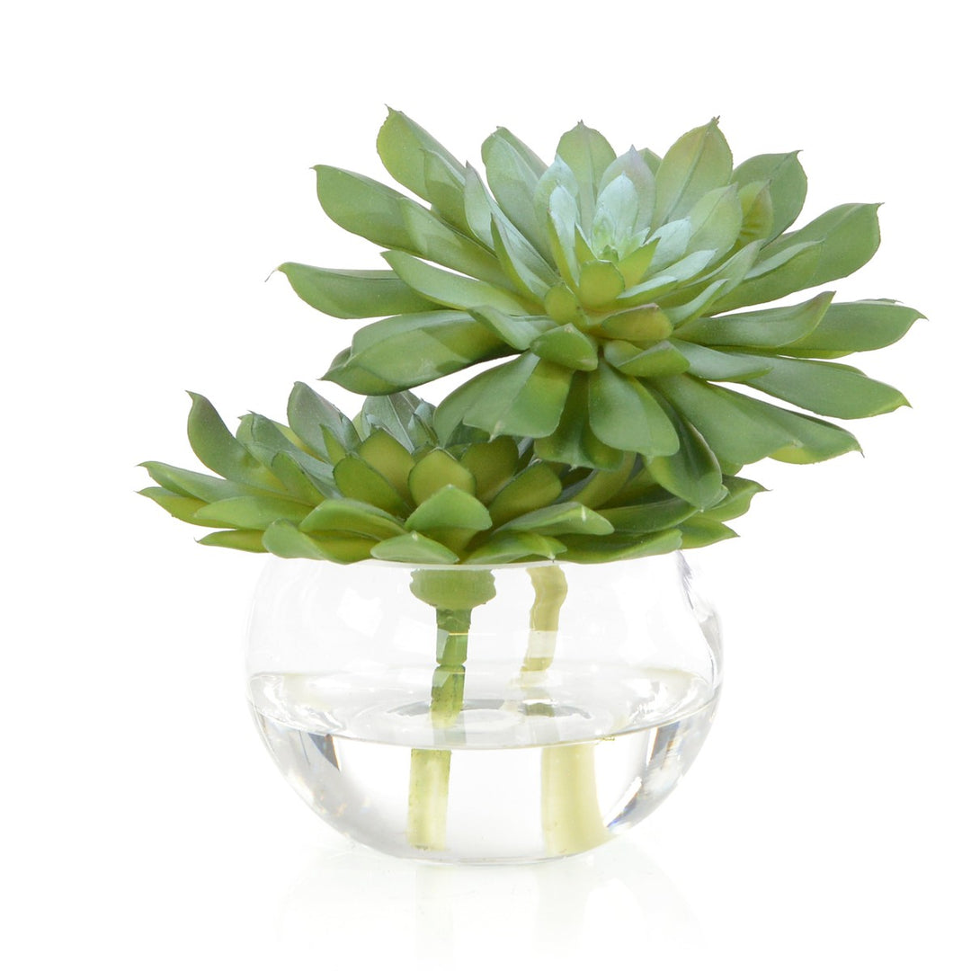 Solis Succulent - Permanent Floral