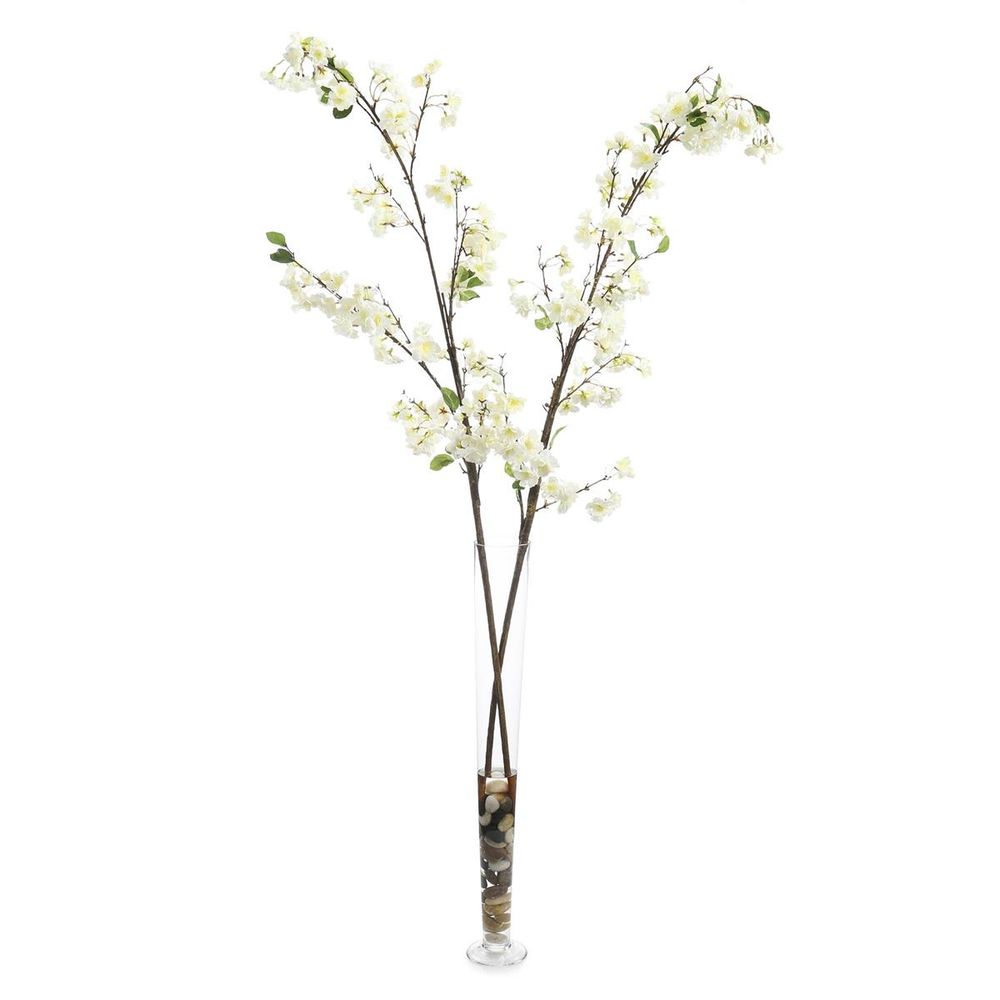 Cream Cherry Blossoms