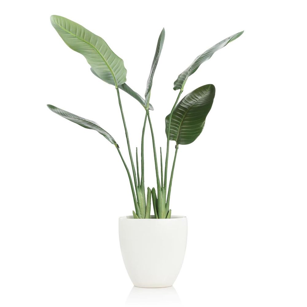 Faux Plants & Trees Tropical Prestige Vessel