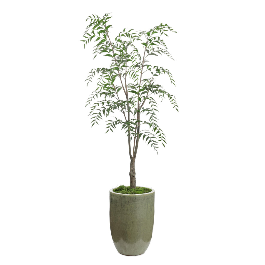 Southern Willow - Default Title