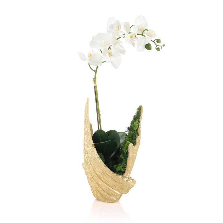 Organic Mossy Orchid - Default Title