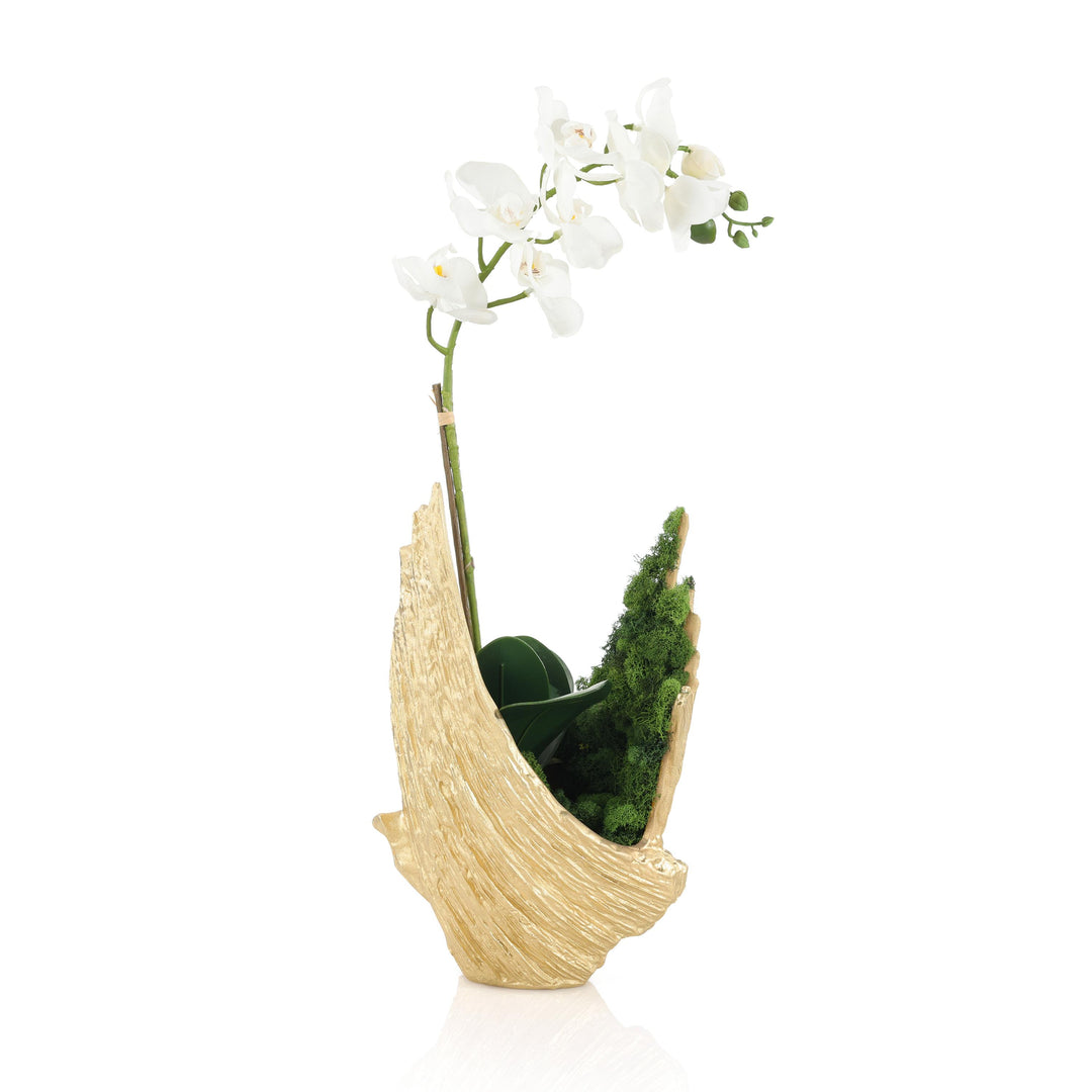 Organic Mossy Orchid - Default Title
