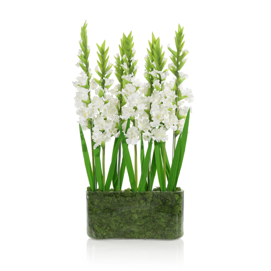 Gladiola Garden - Default Title