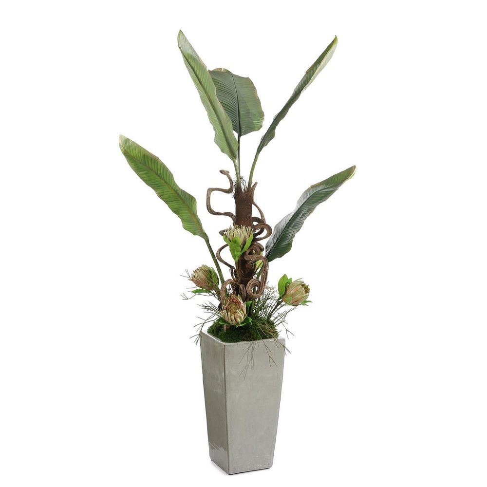 Decorative Objects Verdant Tropic