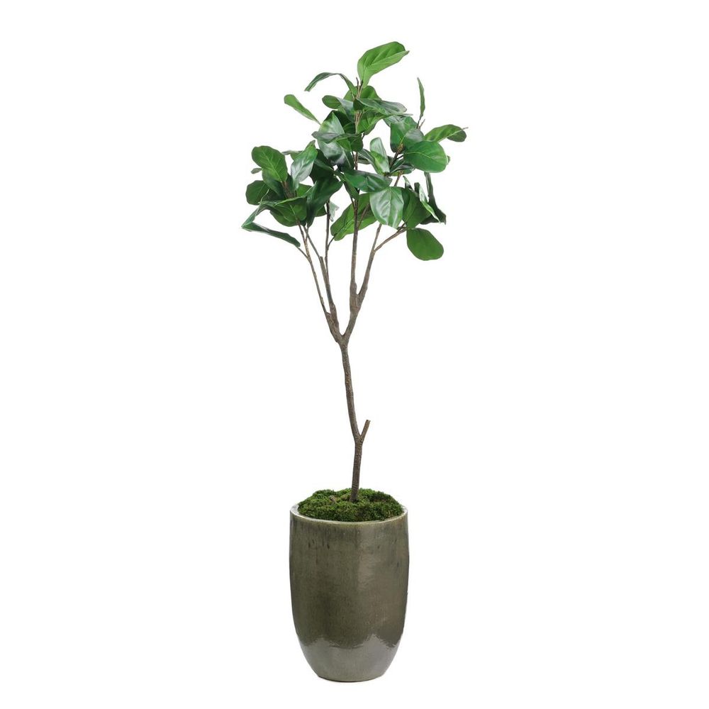 Faux Plants & Trees Evergreen Fiddle Leaf Fig