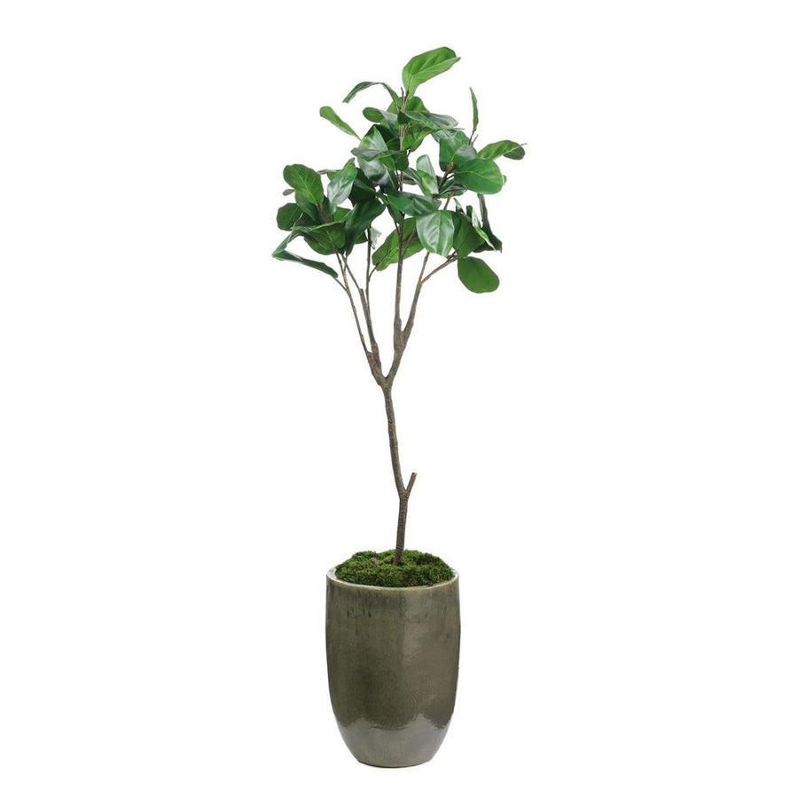 Faux Plants & Trees Evergreen Fiddle Leaf Fig