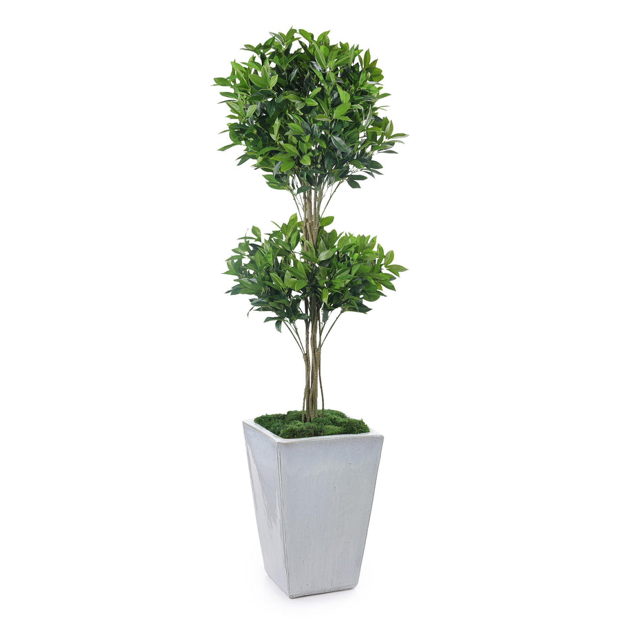 Double Pom Topiary - Default Title