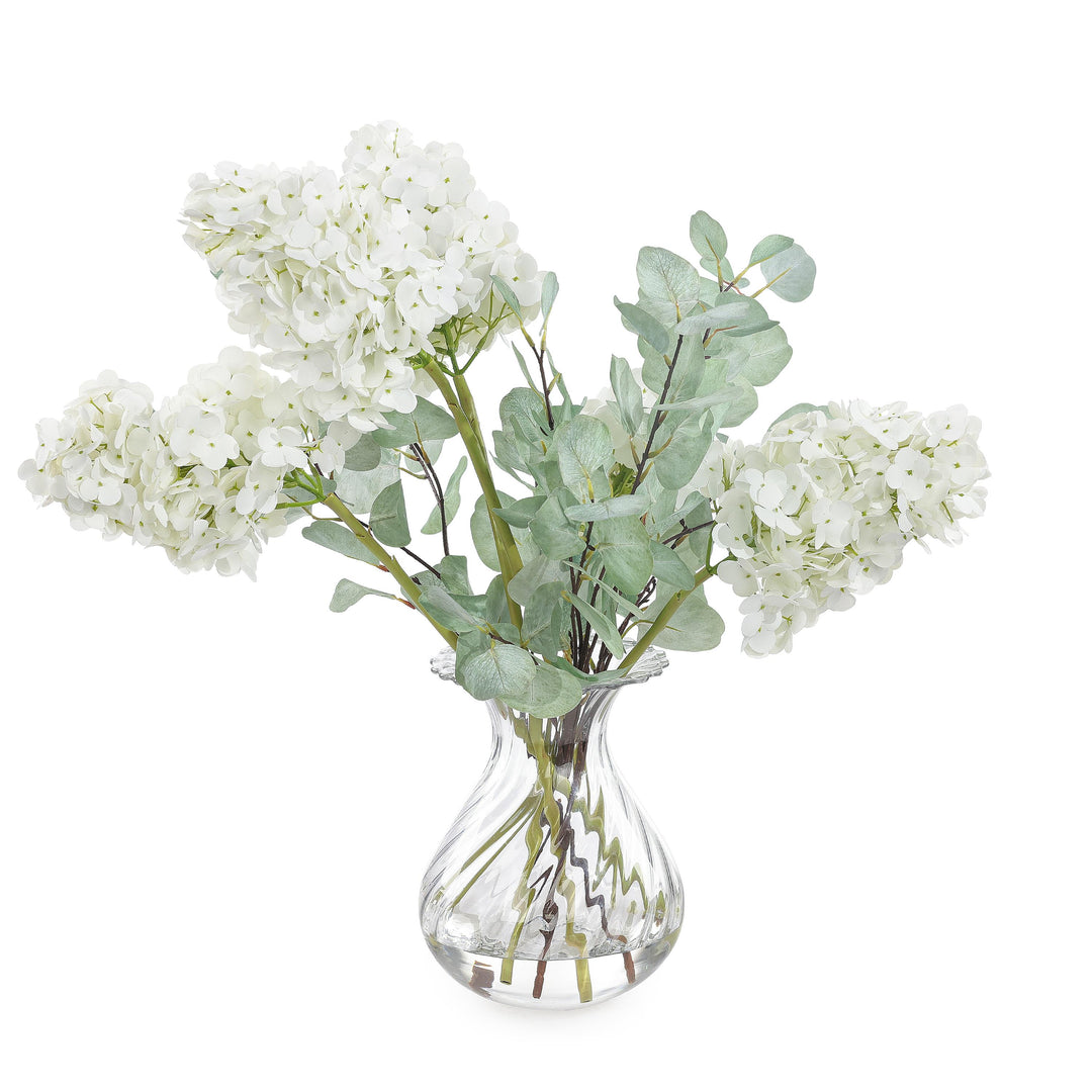 Snow Queen Hydrangeas - Default Title