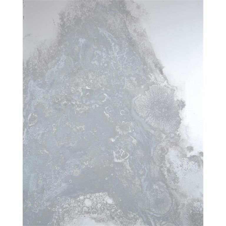 Wall Art Meuse Mirror Panels (Set Of Four) - Silver