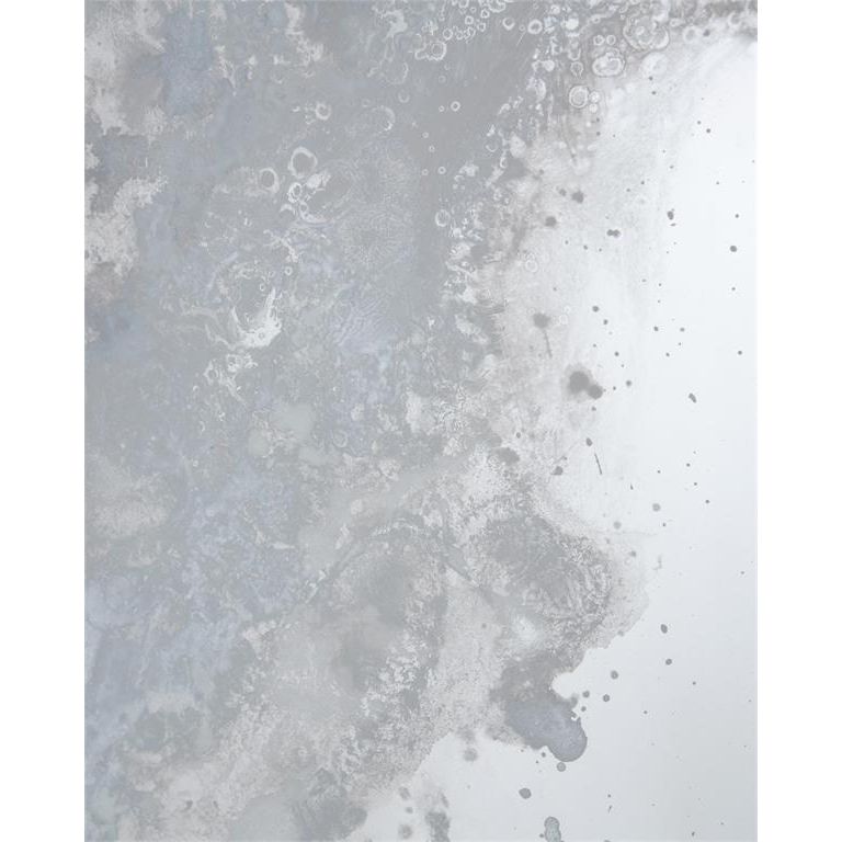 Wall Art Meuse Mirror Panels (Set Of Four) - Silver