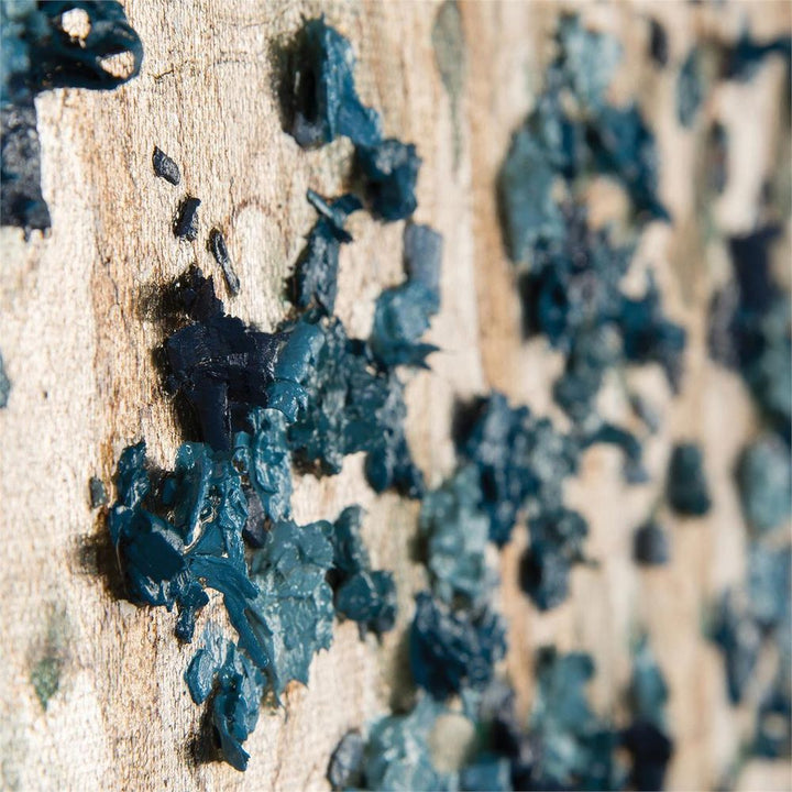 Wall Art Teng Fei's Silvered Dogwood - Multicolor, Silver