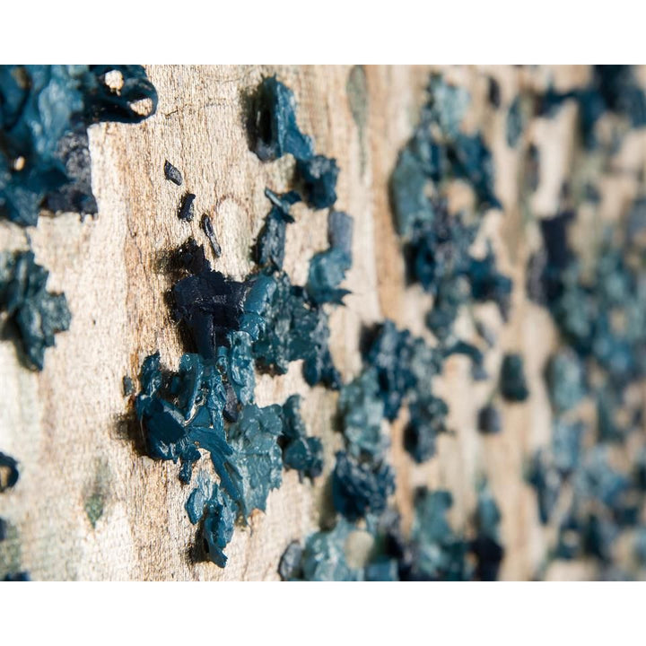 Wall Art Teng Fei's Silvered Dogwood - Multicolor, Silver